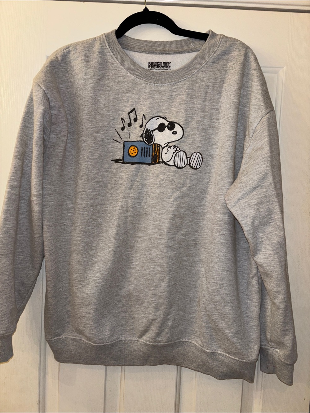 Peanuts Records with Snoopy Gray Crewneck Sweatshirt M EUC